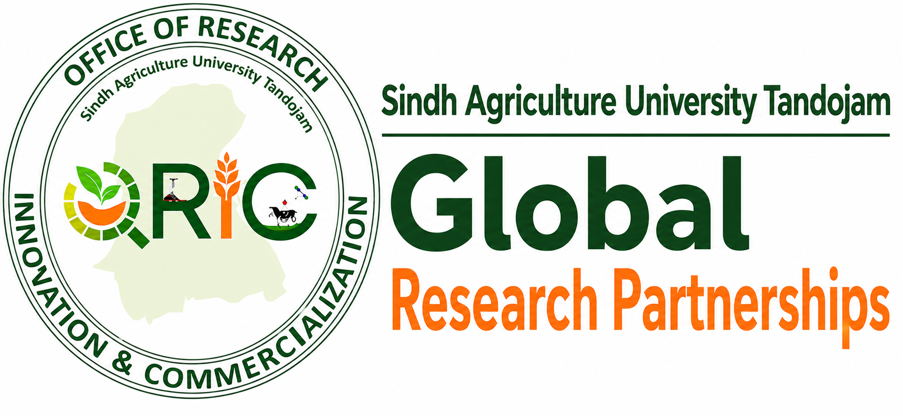 International Project